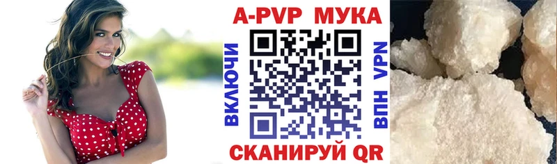 Alfa_PVP СК КРИС  Болотное 