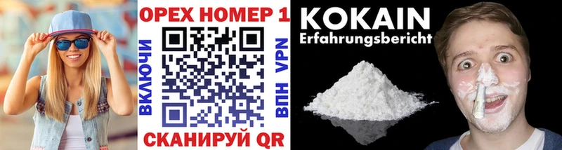 КОКАИН Fish Scale  купить  сайты  Болотное 