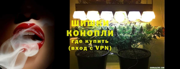шишки Абдулино