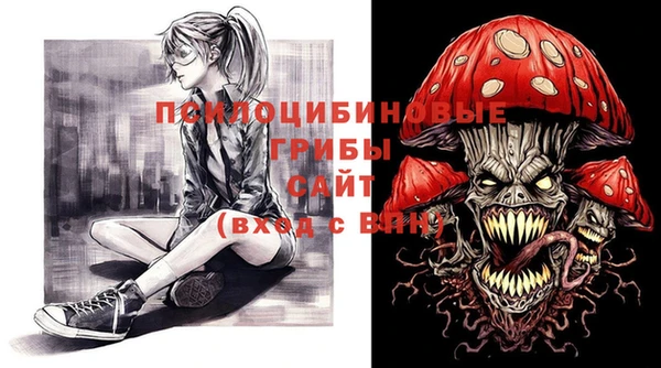 МДПВ Абинск