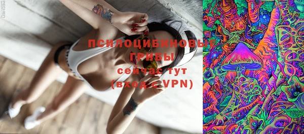 шишки Абдулино