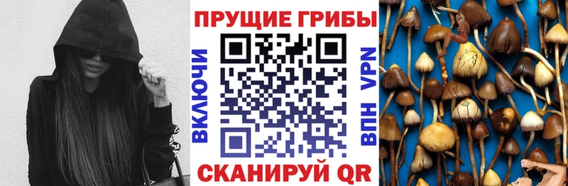 Псилоцибиновые грибы Psilocybe Болотное